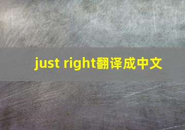 just right翻译成中文